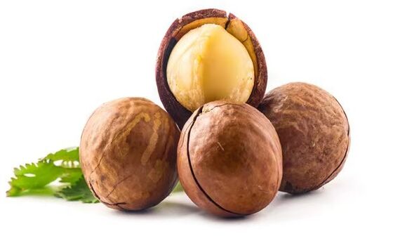 Quality Security Access Control Enforced Wholesome Nut Mix Delicious Nut Blend Offering Balanced Nutrition Great for Retail and Food Service Applications factory